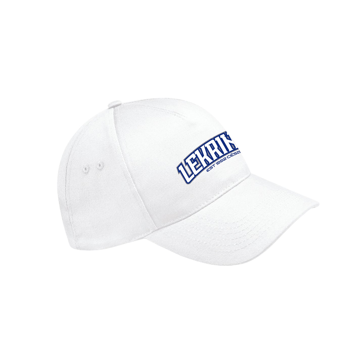 LERKINGS VASARAS CEPURE MODERN